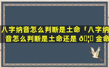 八字纳音怎么判断是土命「八字纳音怎么判断是土命还是 🦈 金命」